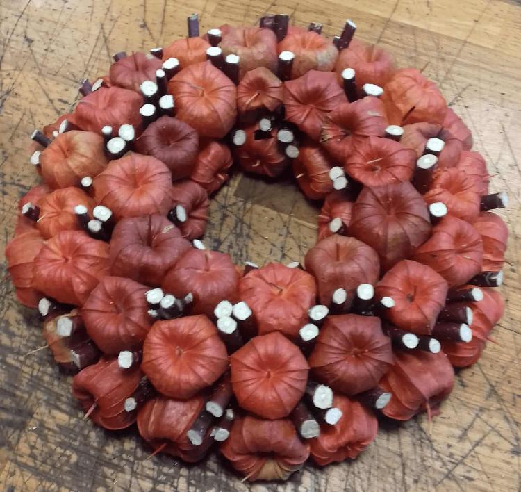 01727540358rdeči-adventni-venček.jpg-rosa-vita.si