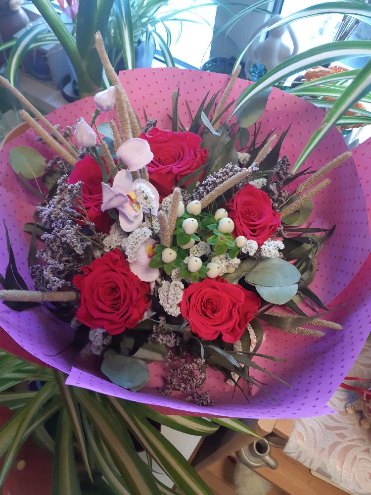 01727701449vijolično-rdeči-šopek.jpg-rosa-vita.si