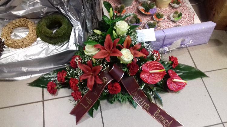 0172789672720181213_132925.jpg-rosa-vita.si