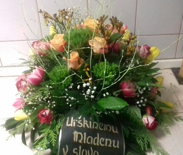 0172789712620200310_182240-1.jpg-rosa-vita.si