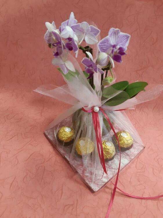 0172789777320210930_090232.jpg-rosa-vita.si