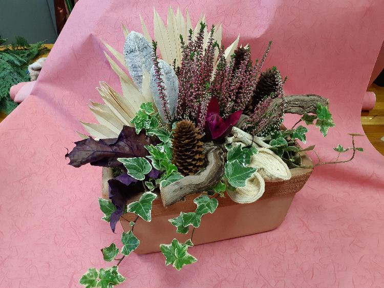 0172789798920210929_170331.jpg-rosa-vita.si