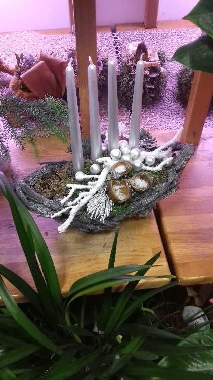 0172797265020181120_195705.jpg-rosa-vita.si