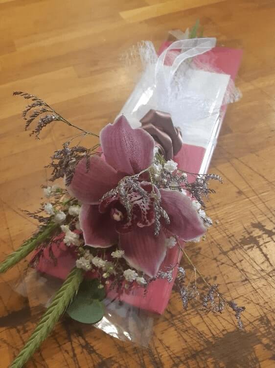 2172789786020240524_110809.jpg-rosa-vita.si