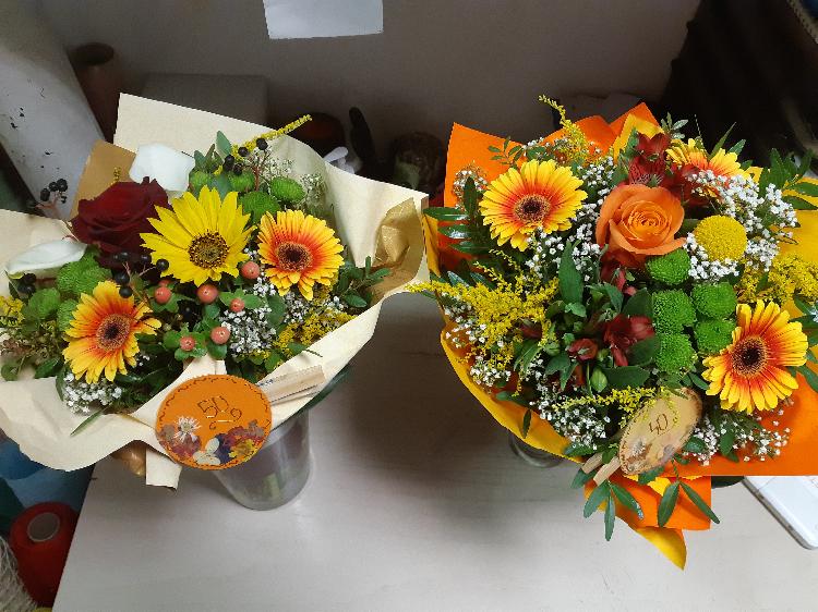 2172797287120200826_182520.jpg-rosa-vita.si