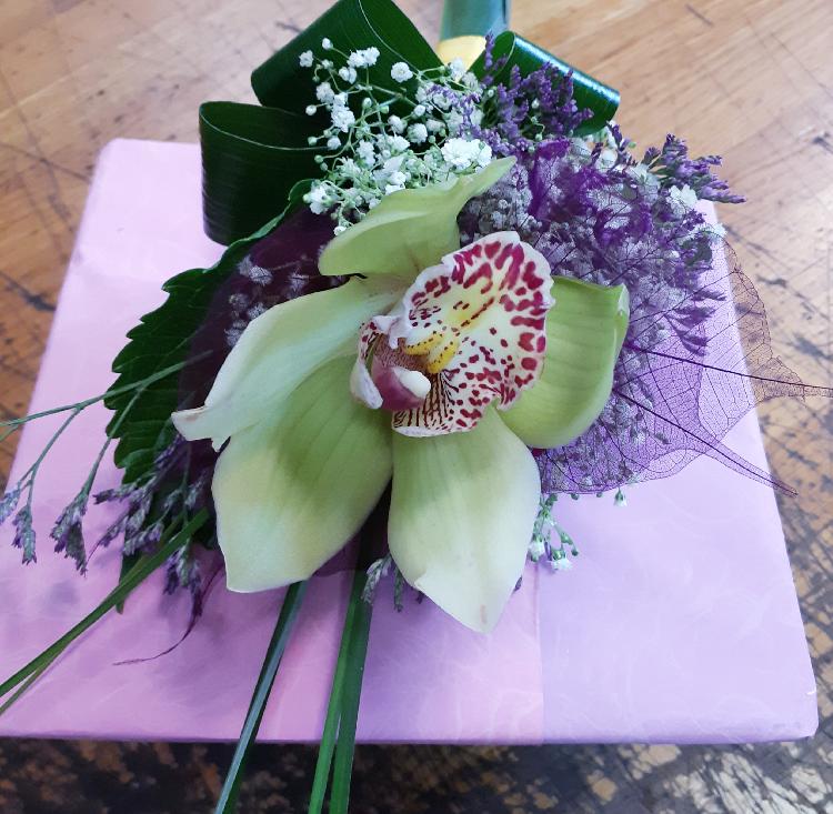 4172789758820210307_191613.jpg-rosa-vita.si