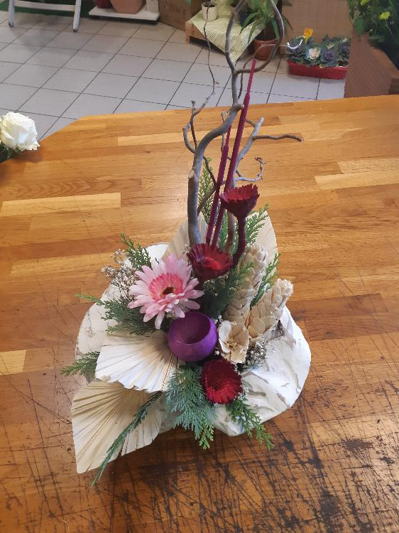 4172789799020221019_132720.jpg-rosa-vita.si