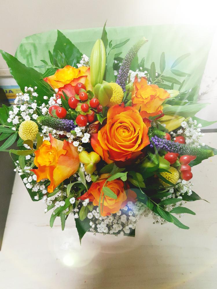 4172797287220210213_082242.jpg-rosa-vita.si